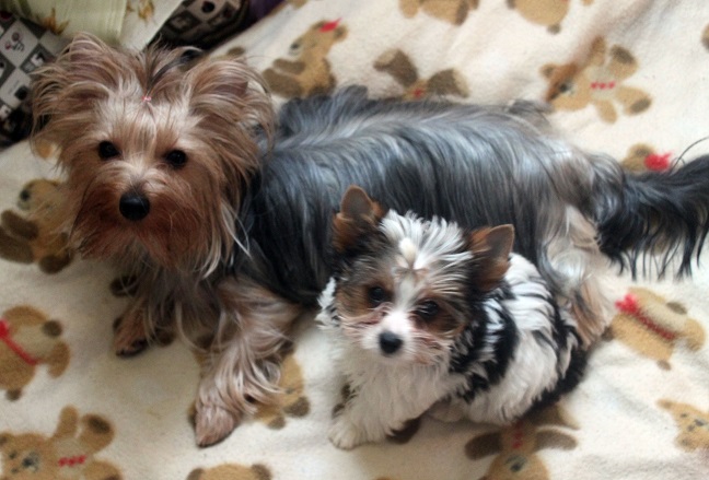 Привет. Давайте знакомиться! :)