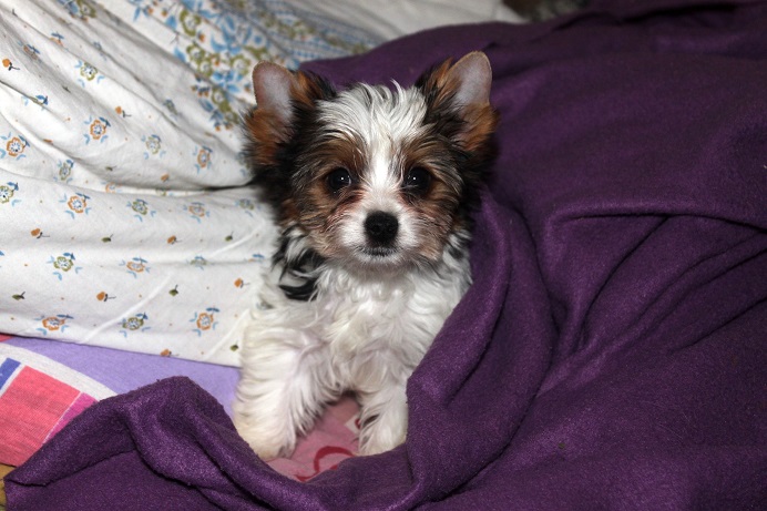 Привет. Давайте знакомиться! :)