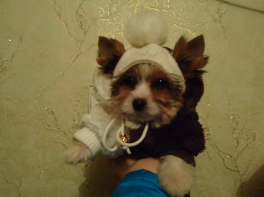 Привет. Давайте знакомиться! :)