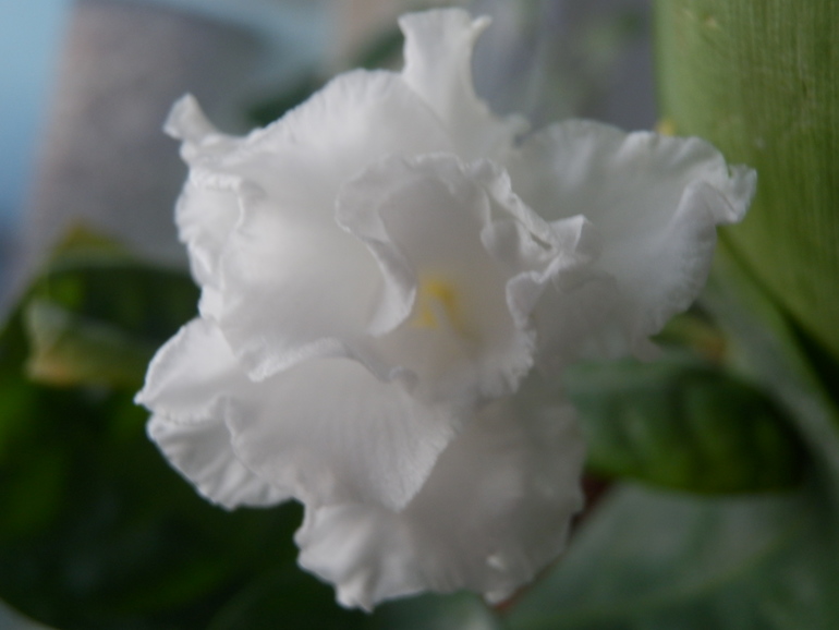 Новогодние подарки.