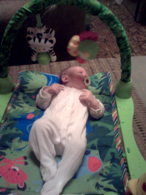 Родились по приказу)