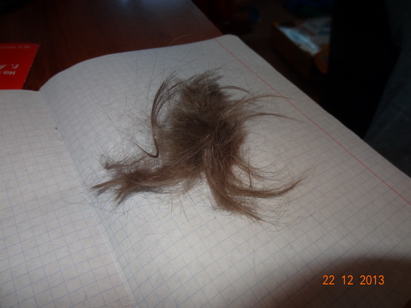 Наша "стрижка"