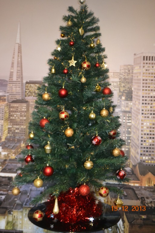 Наша красавица-елка)