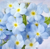 Новогодние подарки!!!