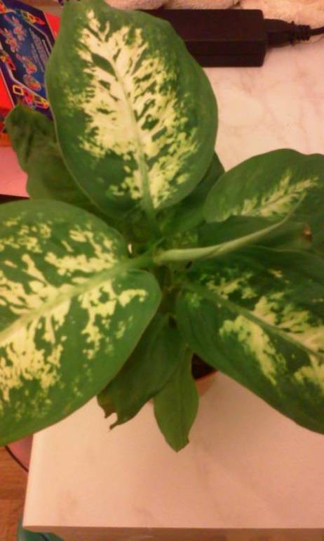 взлет 68 день 28,29