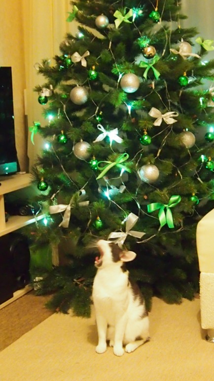 Olympus E-PL3. Помогите разобраться