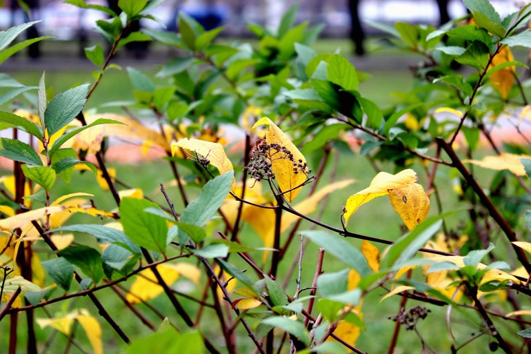 Контрольное задание № 7. Корректируем фотографию при помощи кривых