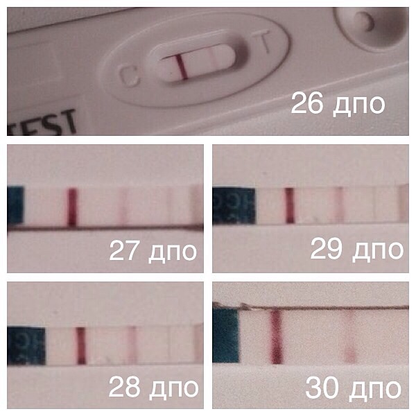 Есть ли повод для беспокойства?
