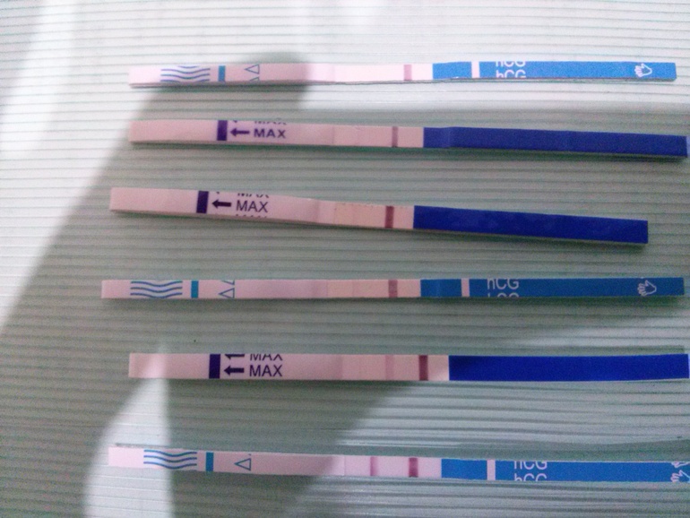 Динамика тестов