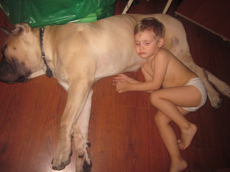 Взлёт369. День 13)