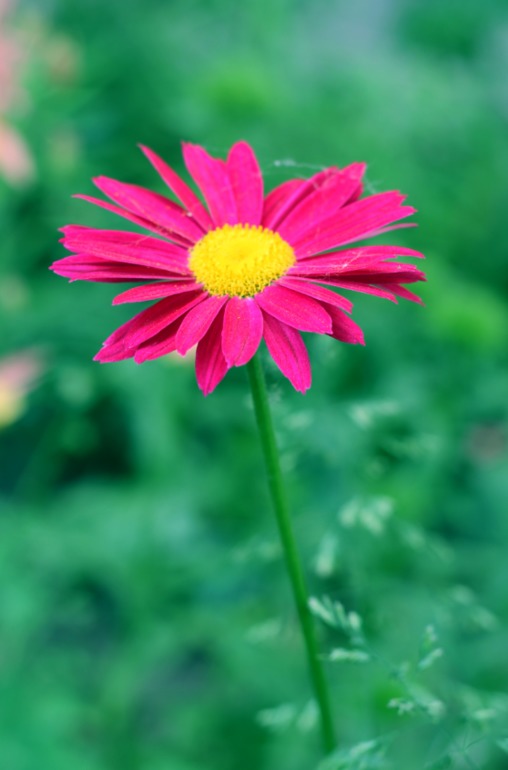 Контрольное задание № 6. Три способа цветокоррекций фотографий