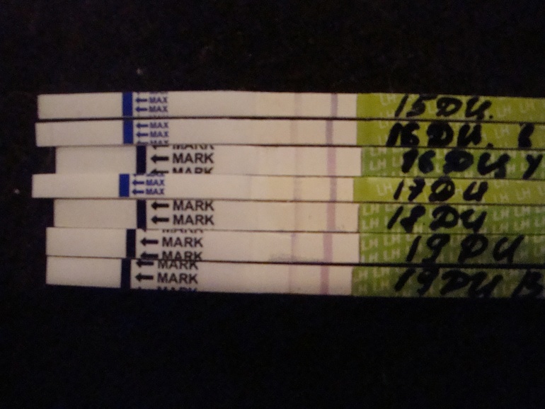 Тесты на о))))))