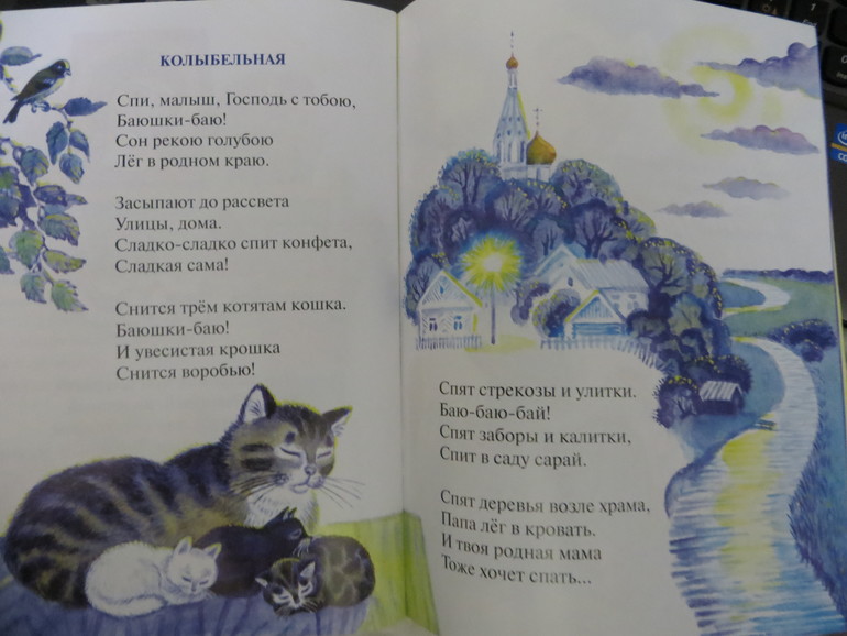 Книги из церкви