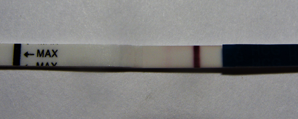 Мои тестики. Есть ли хоть какаято динамика? Это Б?