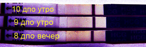 Мои тестики. Есть ли хоть какаято динамика? Это Б?