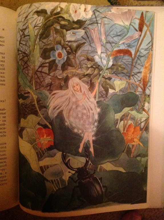 Две красавицы