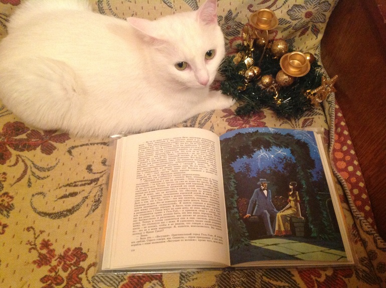 Моя стопочка))