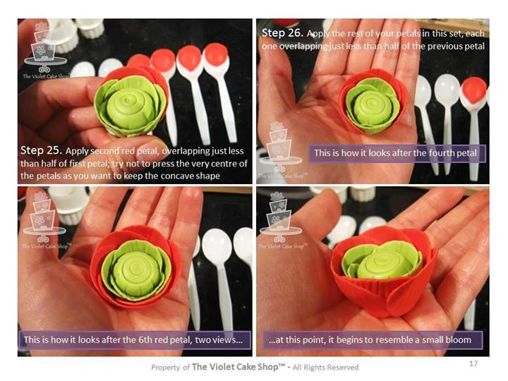 Ранункулюс, по-нашему лютик (Интернет)