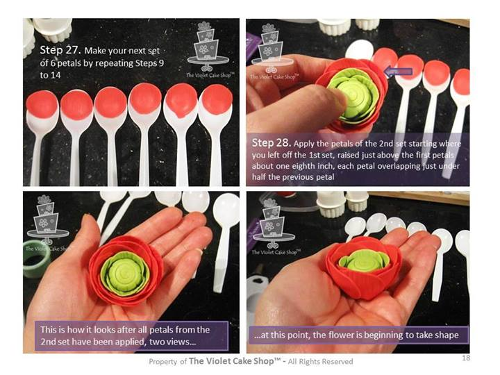 Ранункулюс, по-нашему лютик (Интернет)