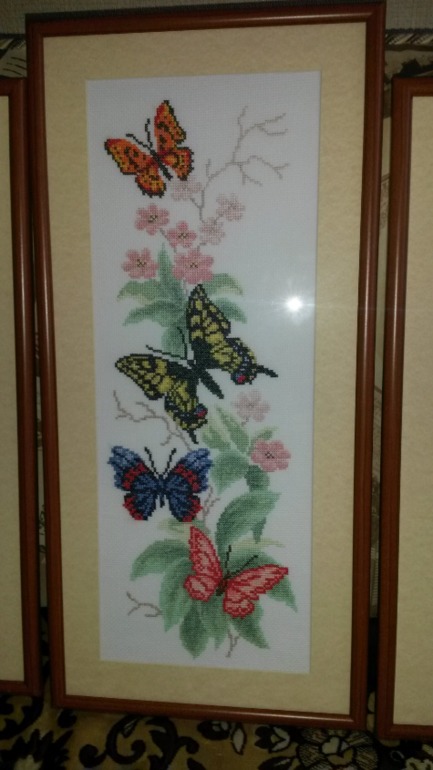 Мои бабочки.