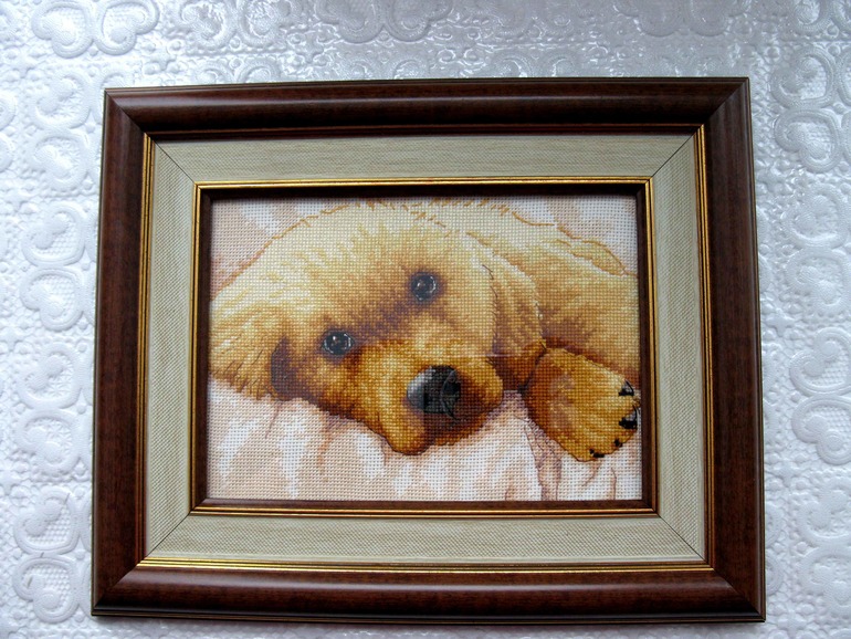 отчет за 2012 год