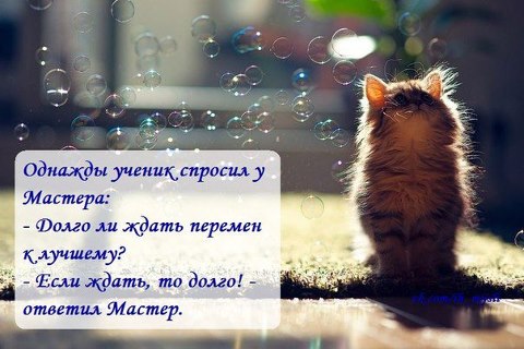 Сыпь на ногах в тайланде Сыпь на ногах в тайланде