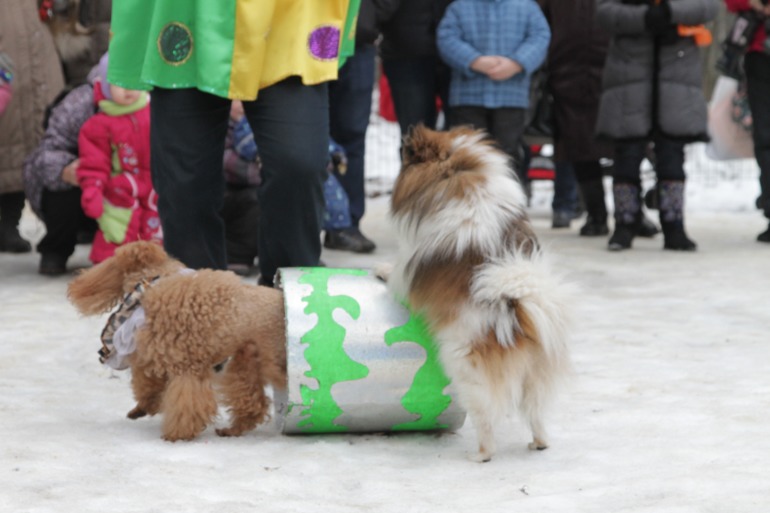 Праздник в парке