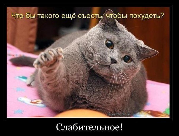 2bd02cad63a5ef8ed2e241128d642d00.jpg