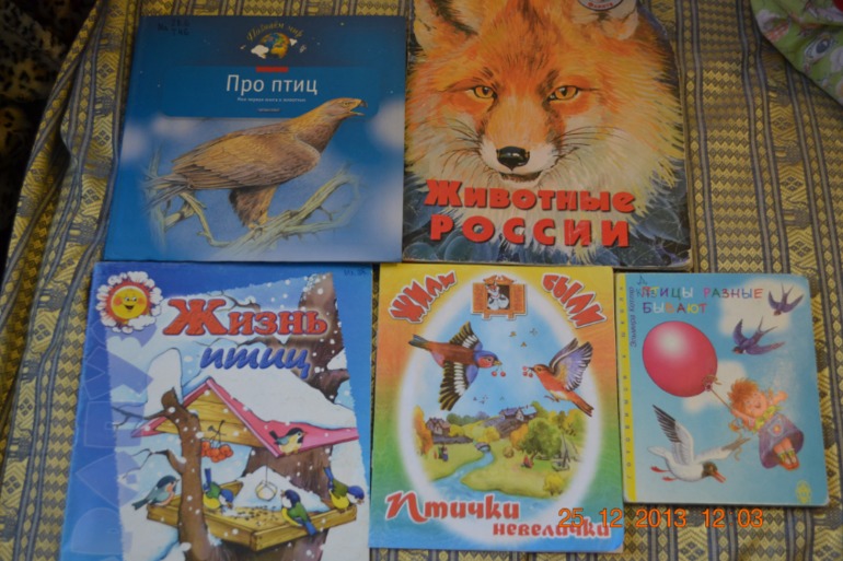 ТН Птицы 4,5 день