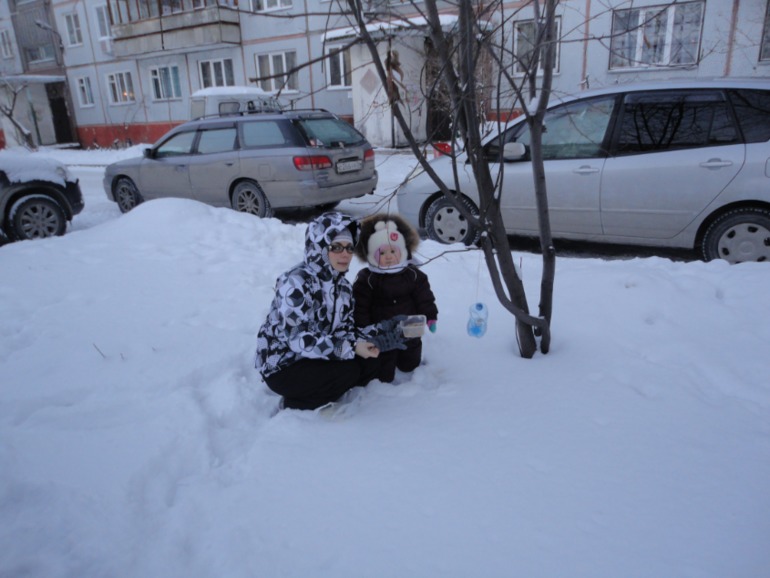 ТН Птицы 2, 3Д