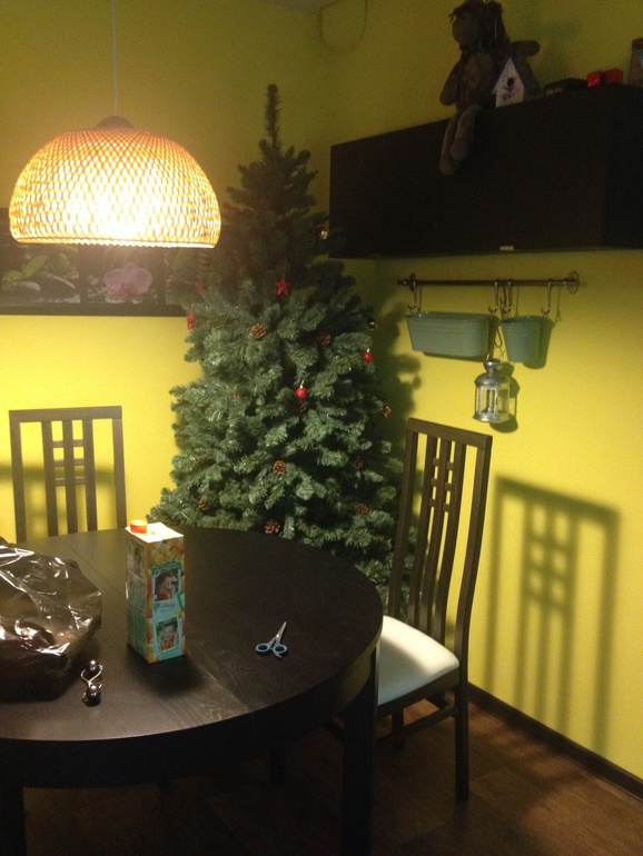 Собралась ночью на скорую руку