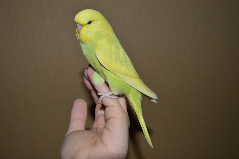 Мы повзрослели!