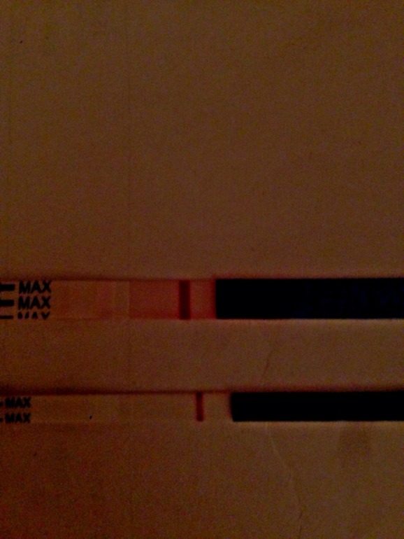 Мои шалуны)