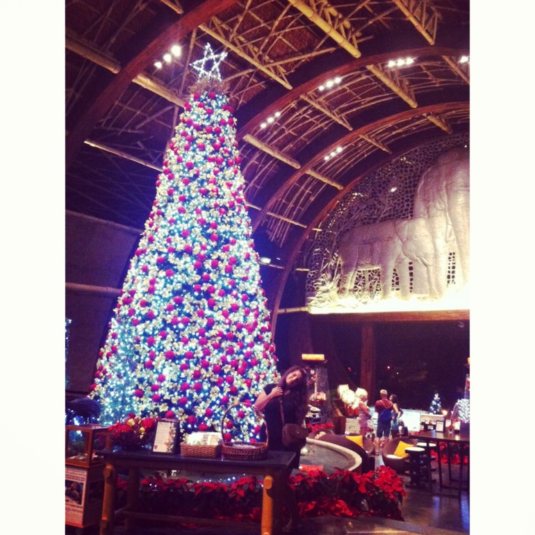 Таиланд, Паттайя, Декабрь 2013.