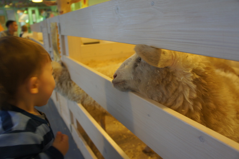 Случайный зоопарк