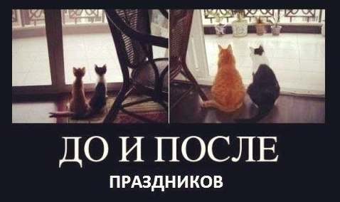 немного новогоднего)