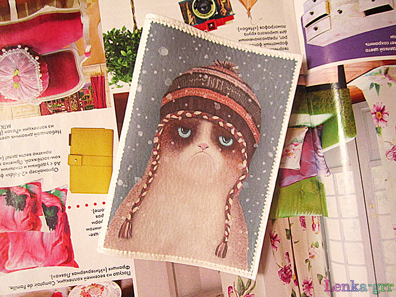 Сердитый кот в России