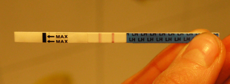 Нужно мнение эксперта! Это ОНО?