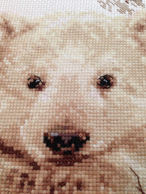 Беленький, северный....