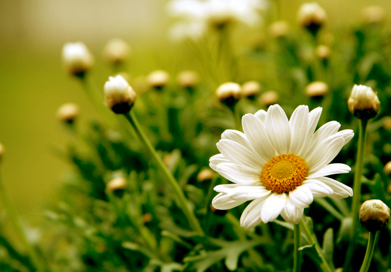 Контрольное задание № 6. "Три способа цветокоррекций фотографий "