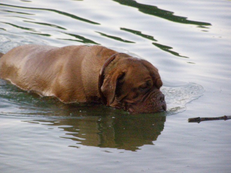 Моя Лялечка, детка первая, беги по радуге, я тебя всегда буду помнить...