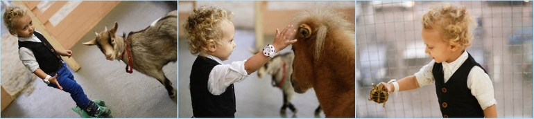 Контактный зоопарк м.Теплый стан