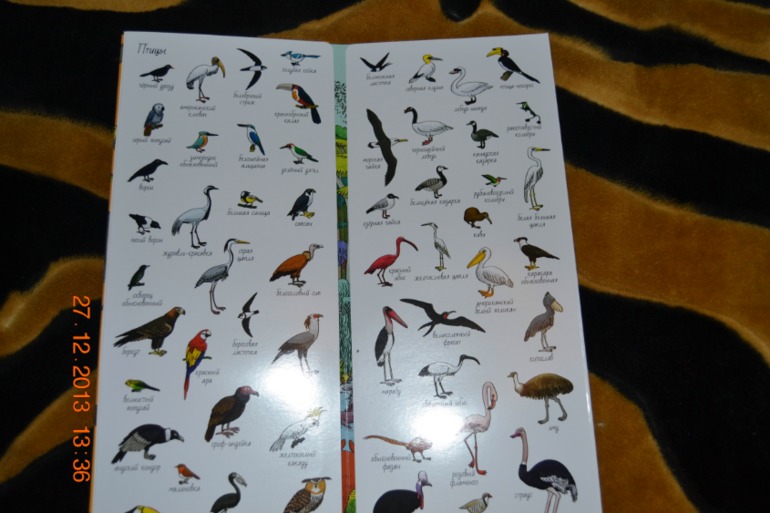 Еще несколько книг в подарок для нашего разбойника