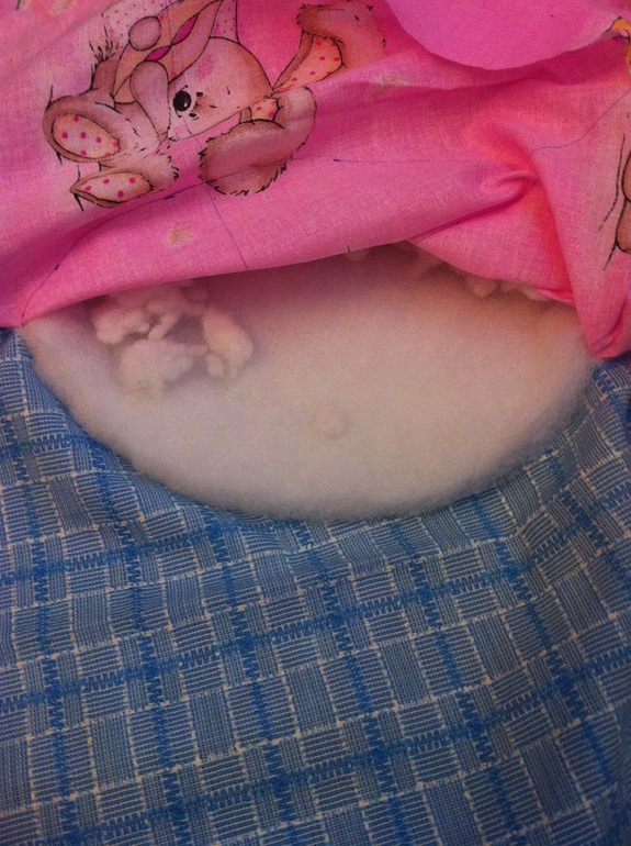 подарок для любимца своими руками!