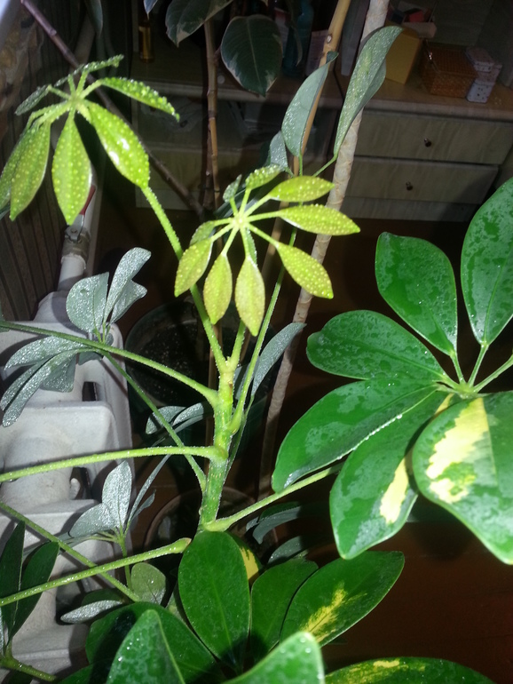 прошу поддержки