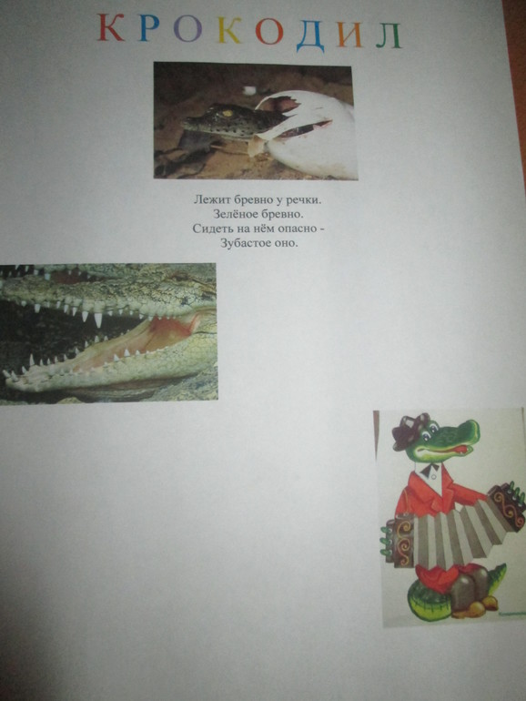 День 5. Крокодил
