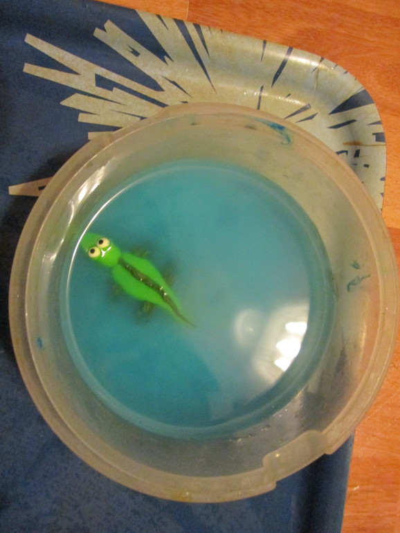 День 5. Крокодил