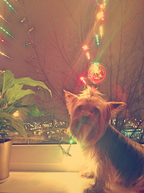 Новогоднее настроение и украшения !!!!