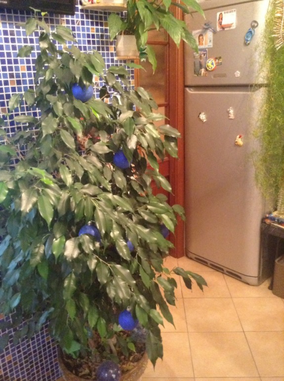 Белая кухня 8,8 м кВ