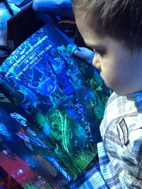 Новогоднее представление